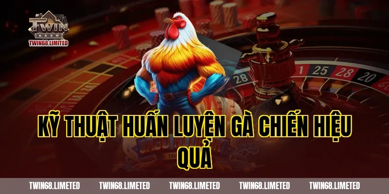Kỹ thuật huấn luyện gà chiến hiệu quả cùng Twin68